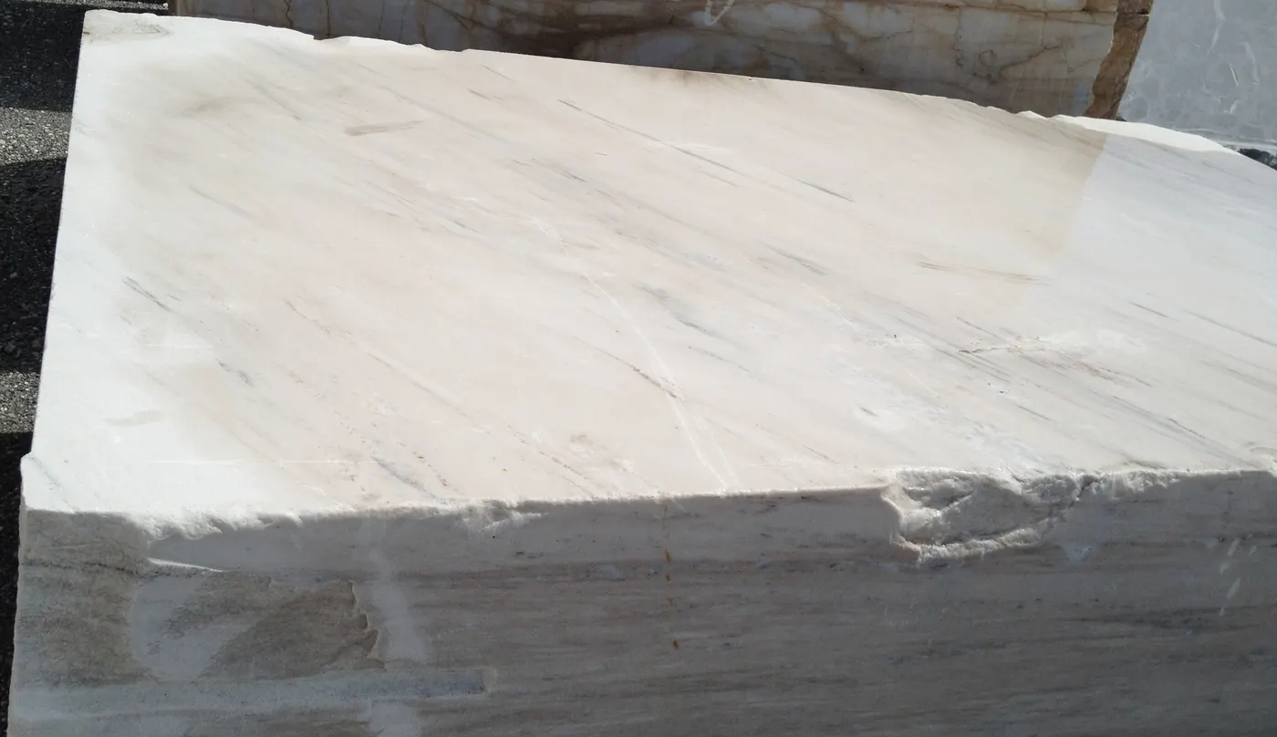 Palissandro Extra marble slab surface – Marmi di Carrara – ivory, charcoal (8)
