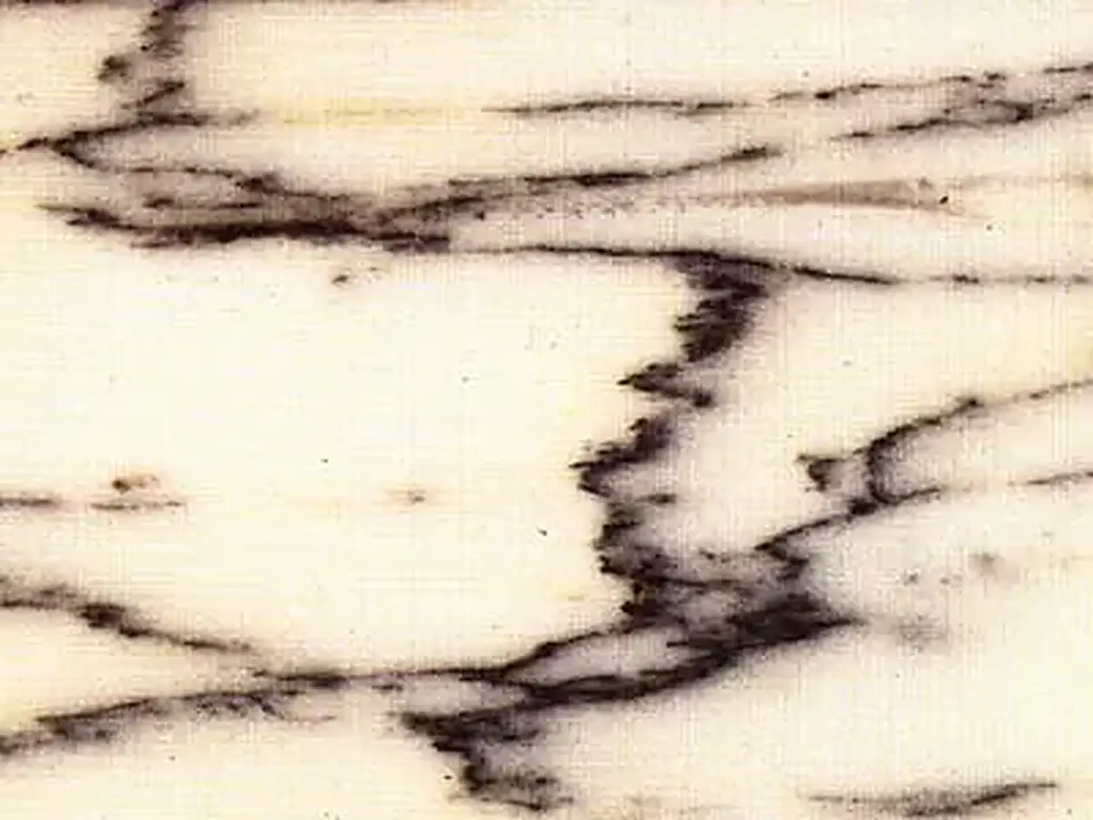 Pavonazzetto marbre, échantillon poli – Marmi di Carrara – blanc, ivoire (1)