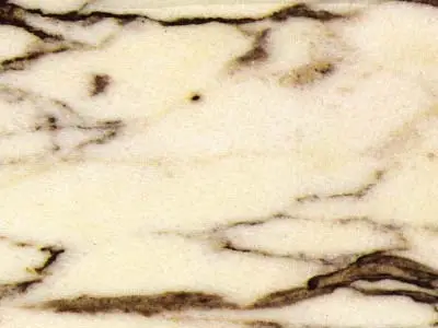 Pavonazzo marbre, échantillon poli – Marmi di Carrara – ivoire, gris (1)