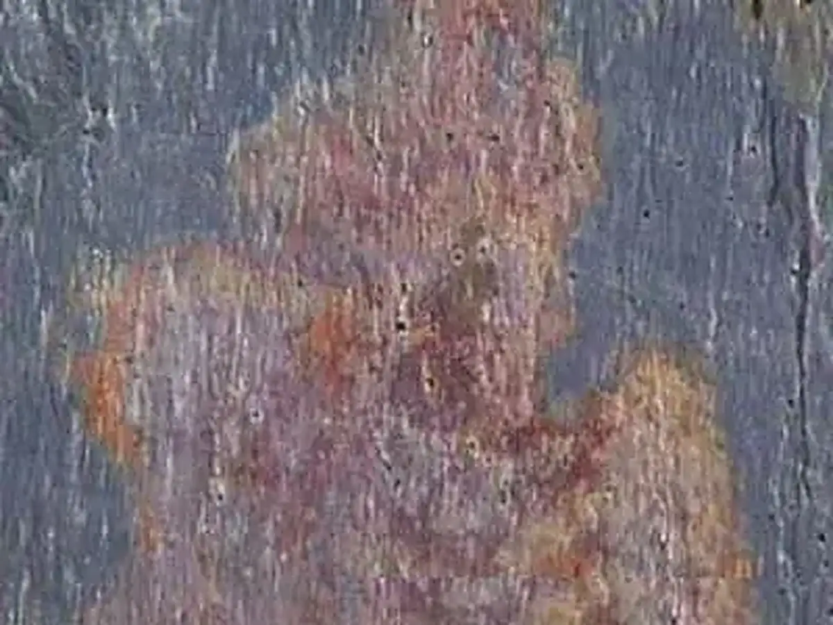 Peacock Slate Schiefer, polierte Probe – Marmi di Carrara – grau, grün (1)