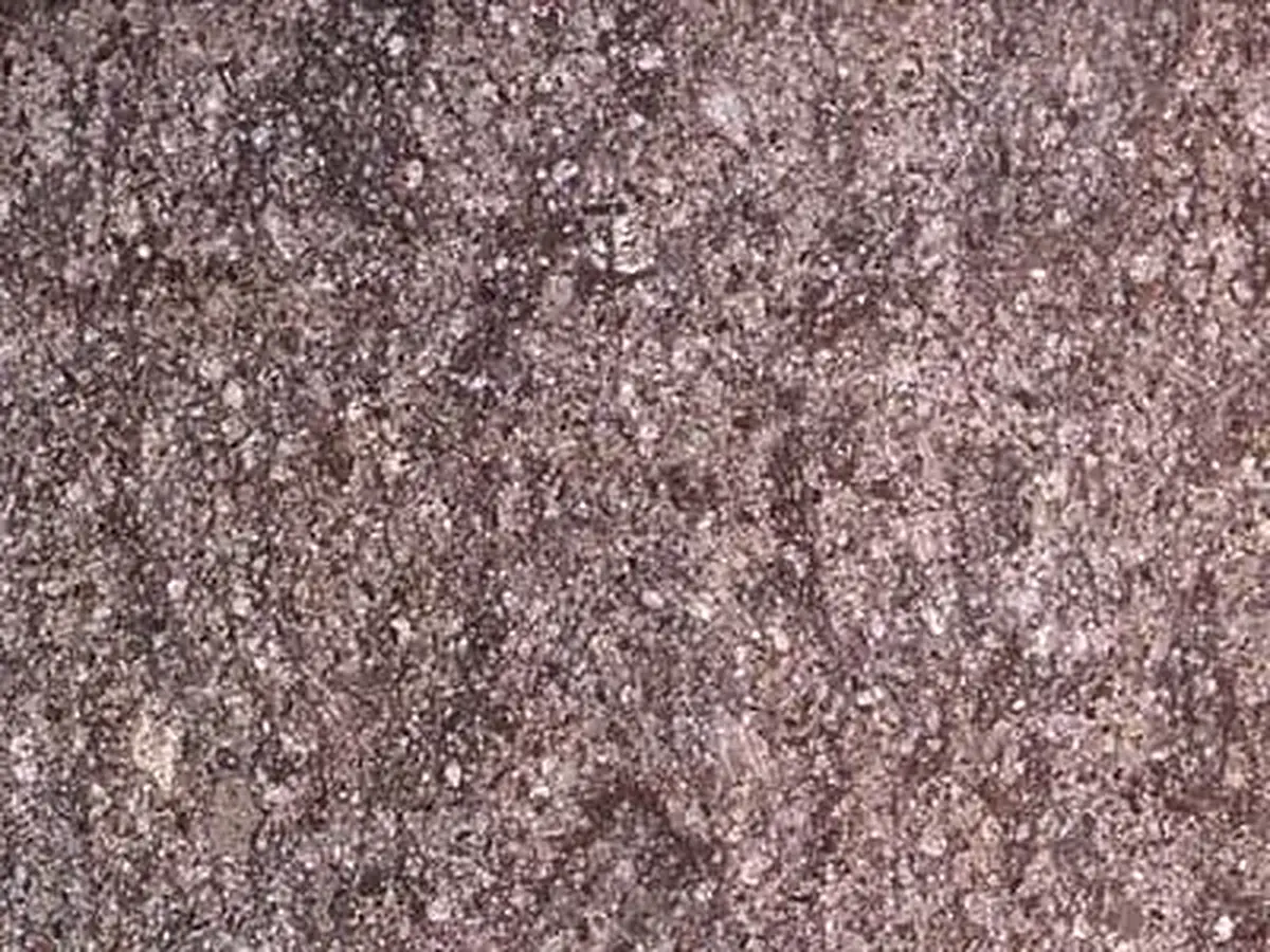 Peperino Soriano pierre naturelle, échantillon poli – Marmi di Carrara – gris, violet (1)