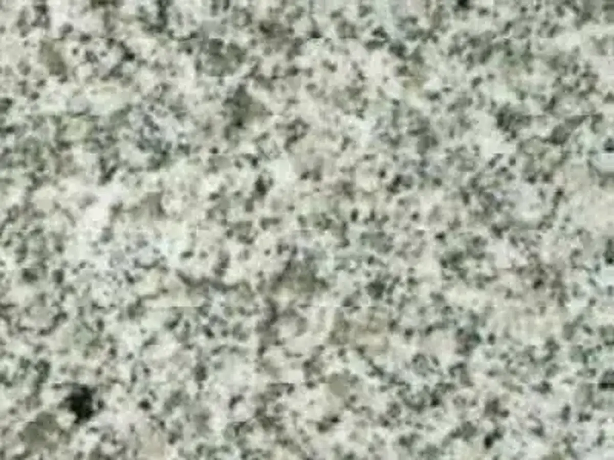 Perla Bianco G 015 Granit, polierte Probe – Marmi di Carrara – grau, hellgrau (1)
