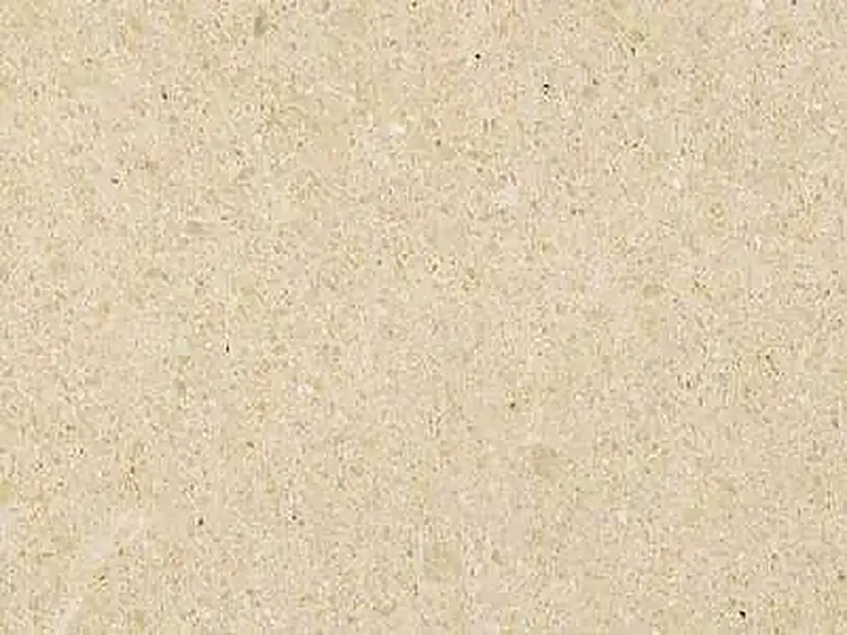Perlato Europa calcaire, échantillon poli – Marmi di Carrara – ivoire, beige (1)
