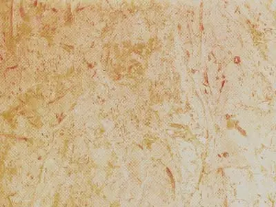 Perlato Svevo limestone polished sample – Marmi di Carrara – beige (1)