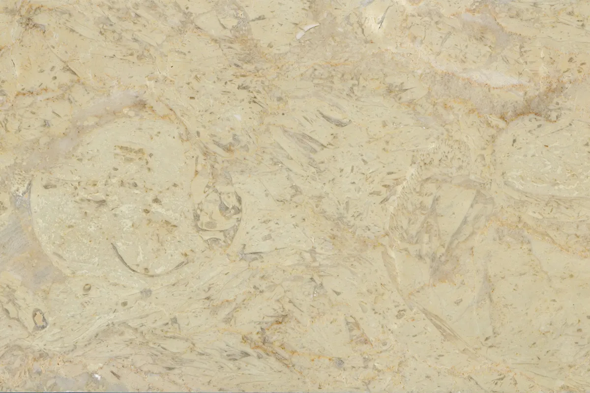 Perlato Svevo calcaire, échantillon poli – Marmi di Carrara – beige (1)