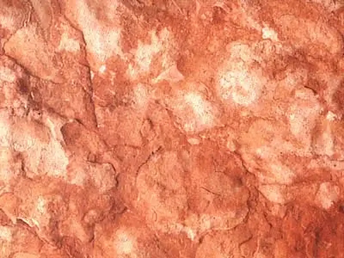 Persichino de Prun caliza, muestra pulida – Marmi di Carrara – dorado, rosa (1)