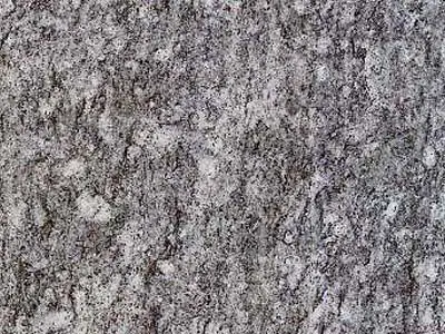 Pietra di Luserna granito, muestra pulida – Marmi di Carrara – gris, verde (1)