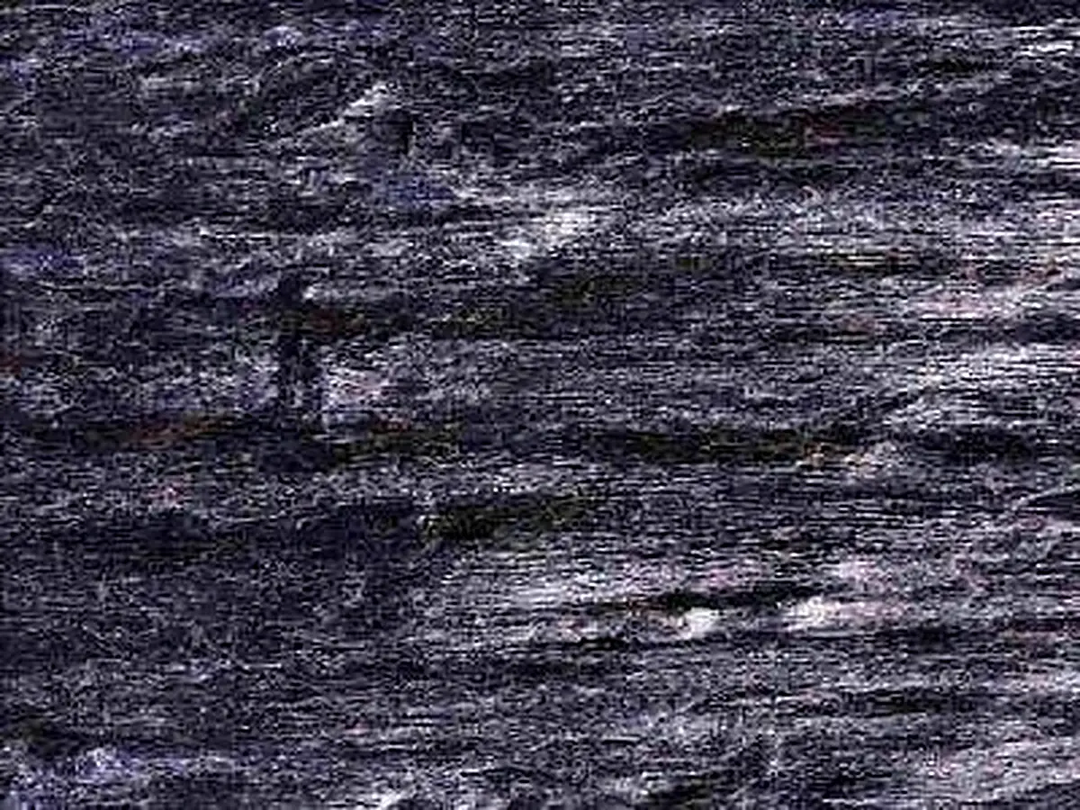 Pihtiputaan Kiilleliuske quartzite polished sample – Marmi di Carrara – charcoal, black (1)