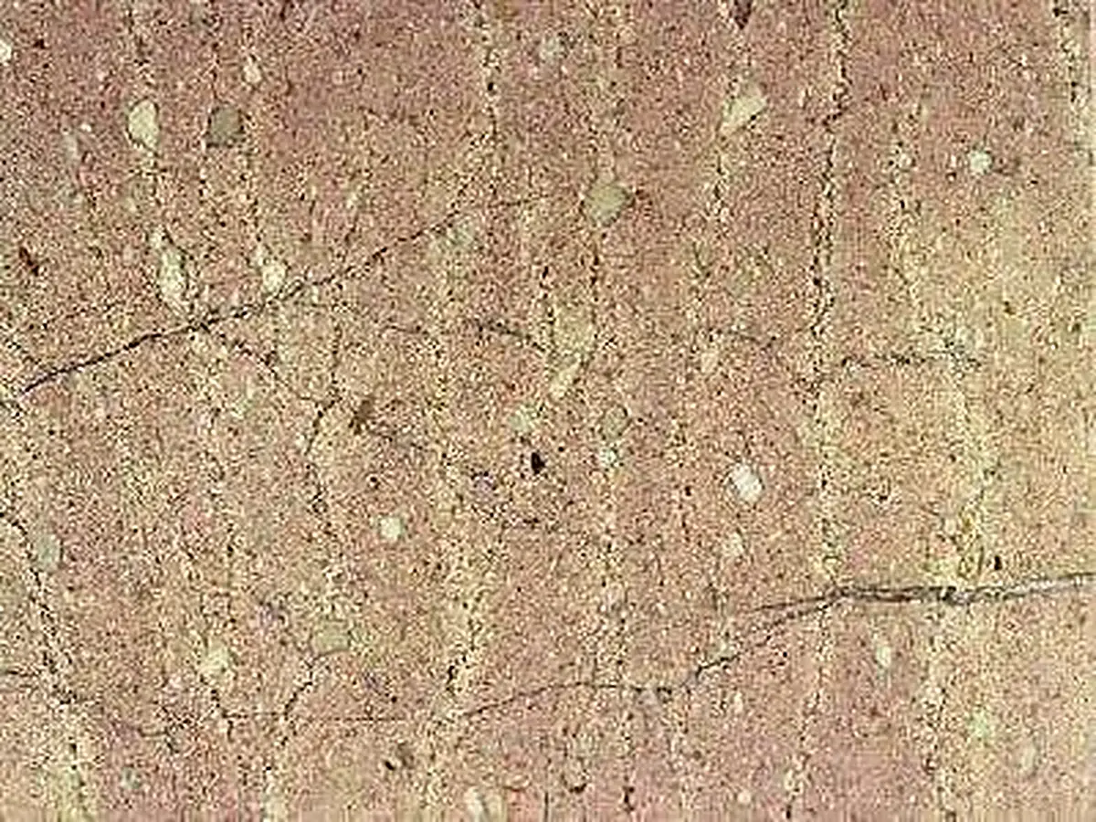 Pink of Arta - Rozalino calcare, campione lucido – Marmi di Carrara – beige, oro (1)