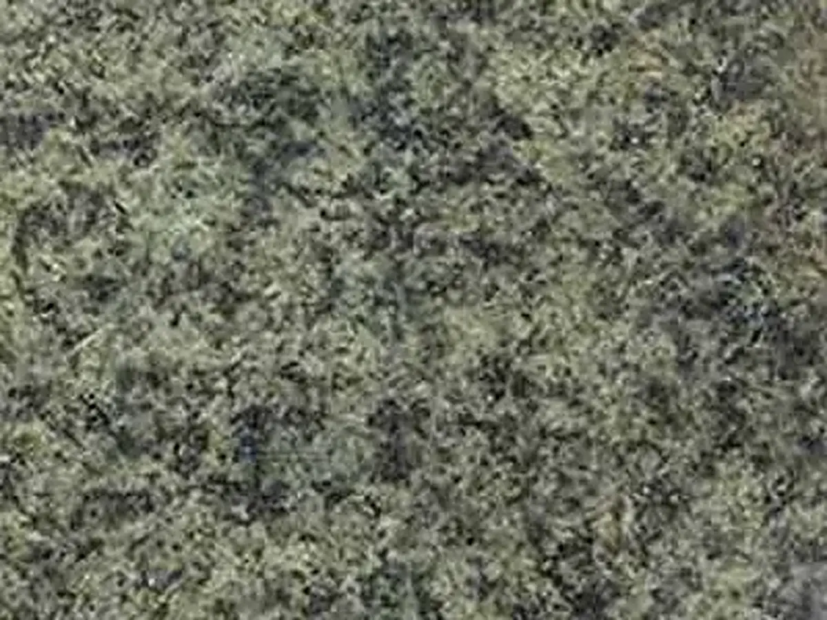 Piranshar granite polished sample – Marmi di Carrara – green, grey (1)