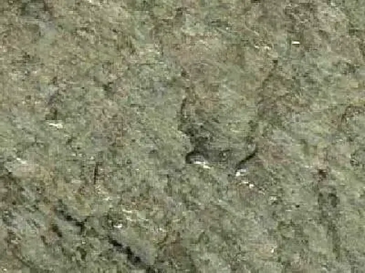 Pistacho slate polished sample – Marmi di Carrara – grey, green (1)
