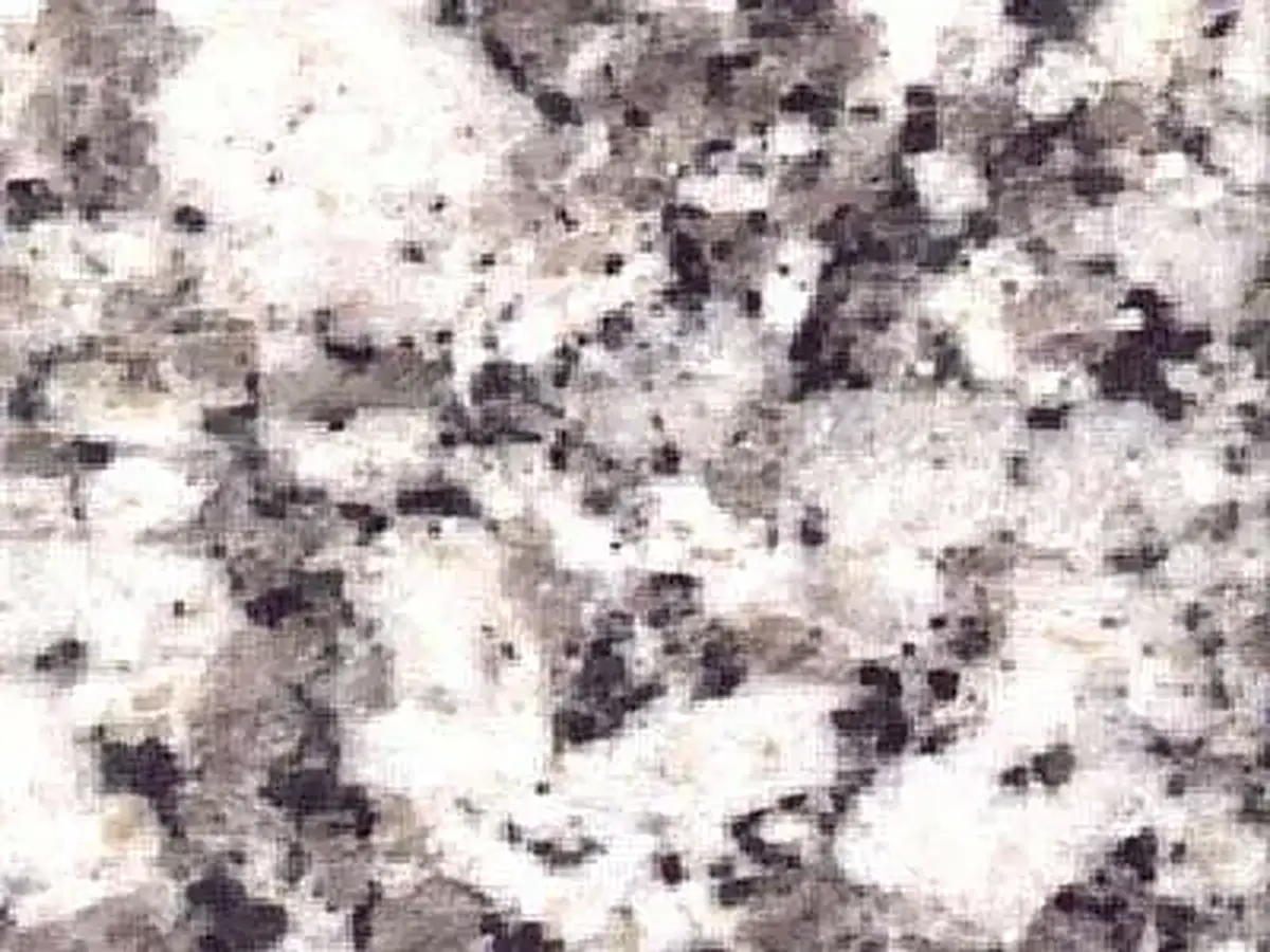 Platinum White granite polished sample – Marmi di Carrara – white, beige (1)