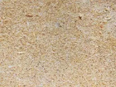 Postaer Sandstein arenaria