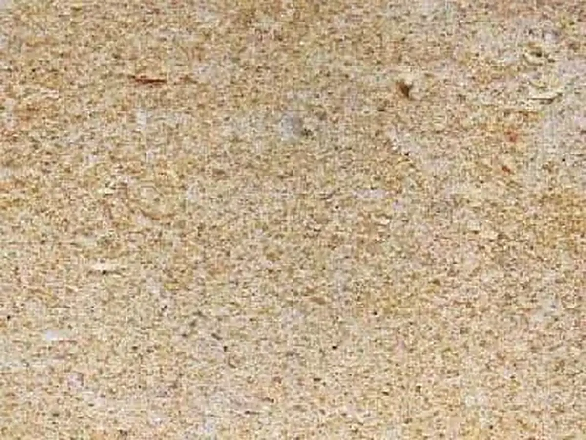 Postaer Sandstein Sandstein, polierte Probe – Marmi di Carrara – beige (1)