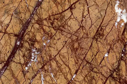 Rain Forest Gold marmo, superficie di lastra – Marmi di Carrara – oro, marrone (2)