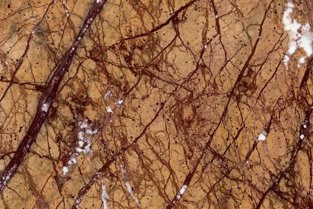 Rain Forest Gold мрамор, поверхность плиты – Marmi di Carrara – золотистый, коричневый (2)