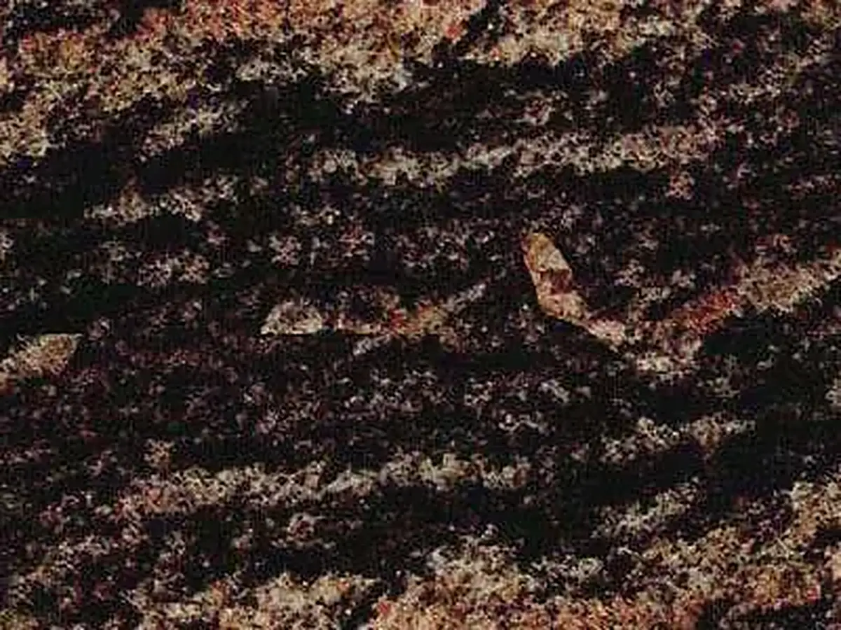 Rainbow Granit, polierte Probe – Marmi di Carrara – schwarz, braun (1)