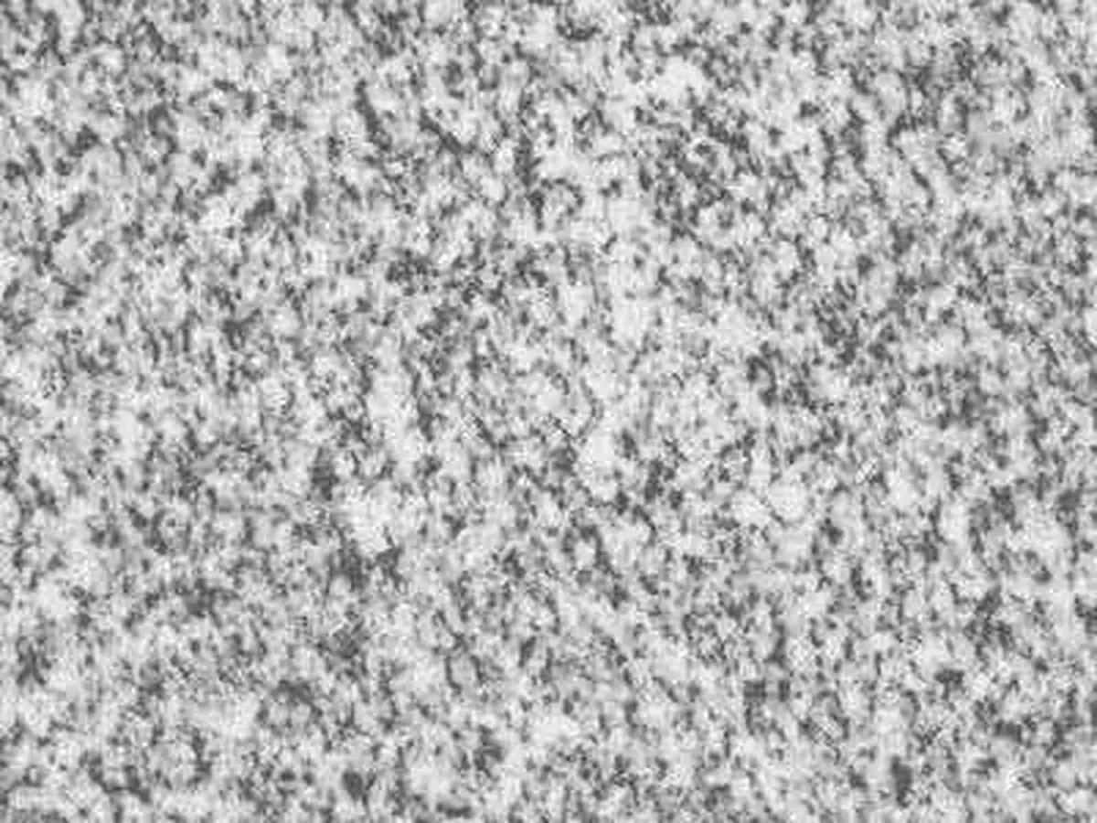 Real Grey granite polished sample – Marmi di Carrara – light grey, grey (1)