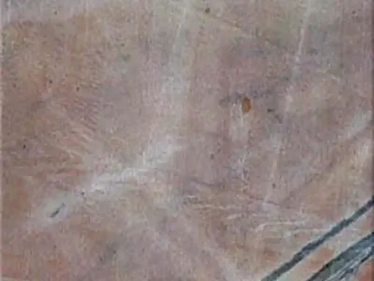 Regular Pink caliza, muestra pulida – Marmi di Carrara – gris (1)