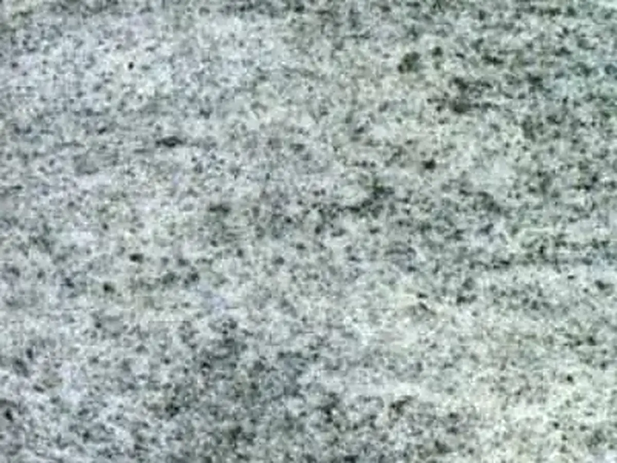 Rheinquarzit granito, muestra pulida – Marmi di Carrara – gris claro, gris (1)