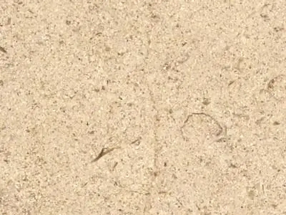 Roche de Charmot calcare, campione lucido – Marmi di Carrara – avorio, beige (1)