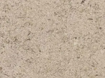 Roche de Valanges limestone polished sample – Marmi di Carrara – beige (1)