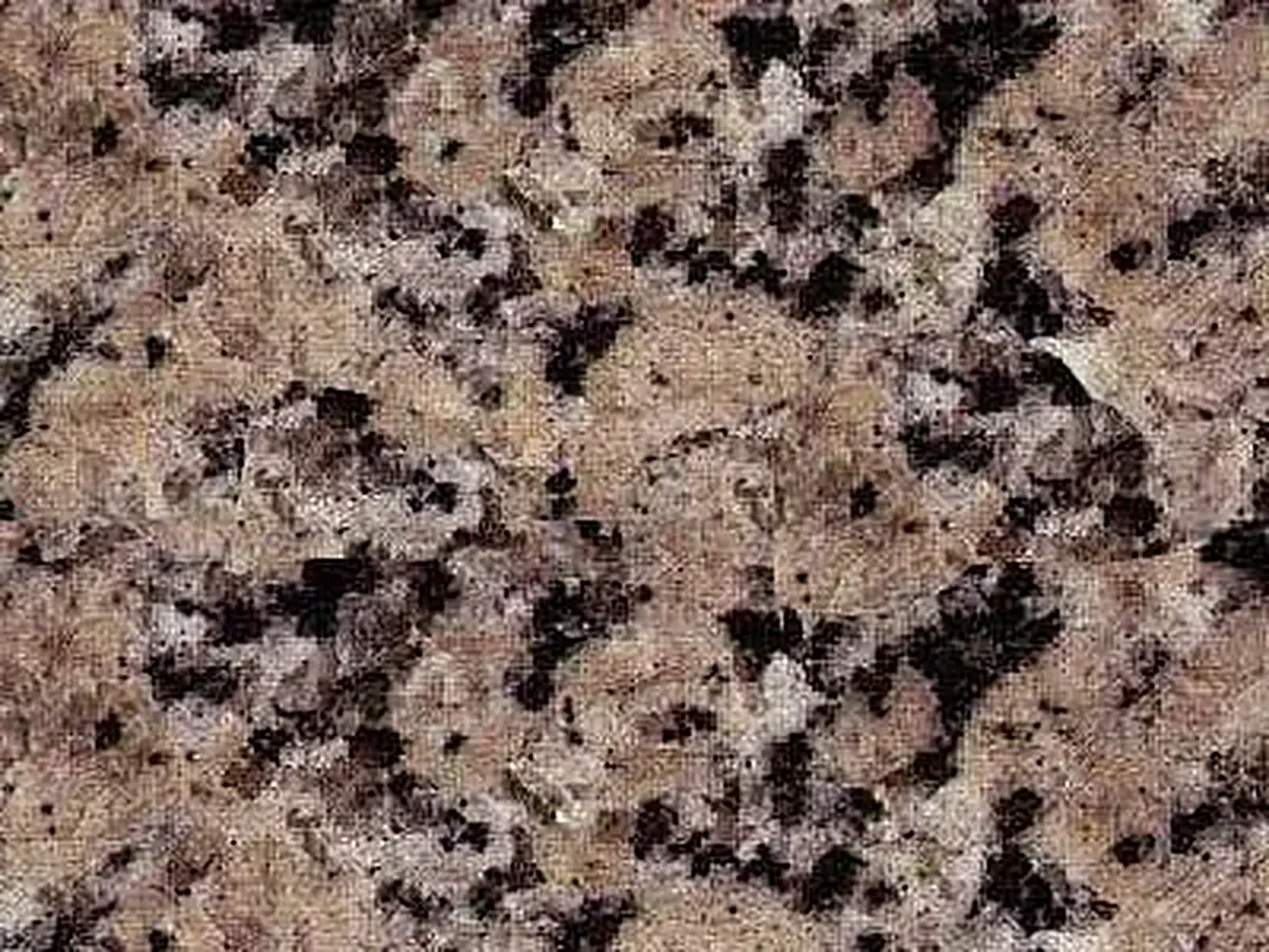 Rockville Beige Granit, polierte Probe – Marmi di Carrara – grau, grün (1)