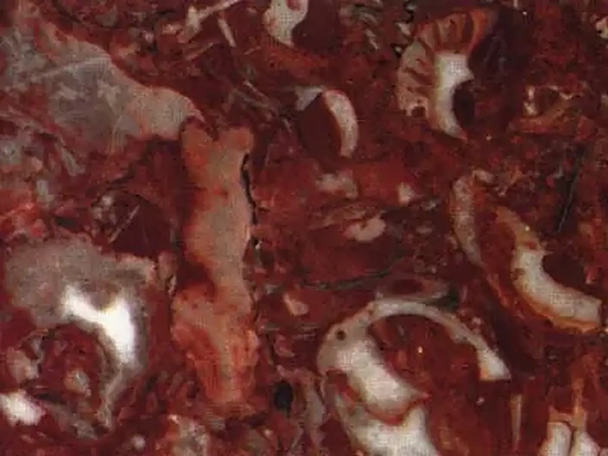 Rojo Daniel известняк, полированный образец – Marmi di Carrara – коричневый, чёрный (1)