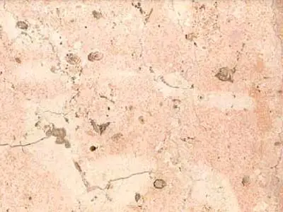 Rosa Coral (mex.) calcaire