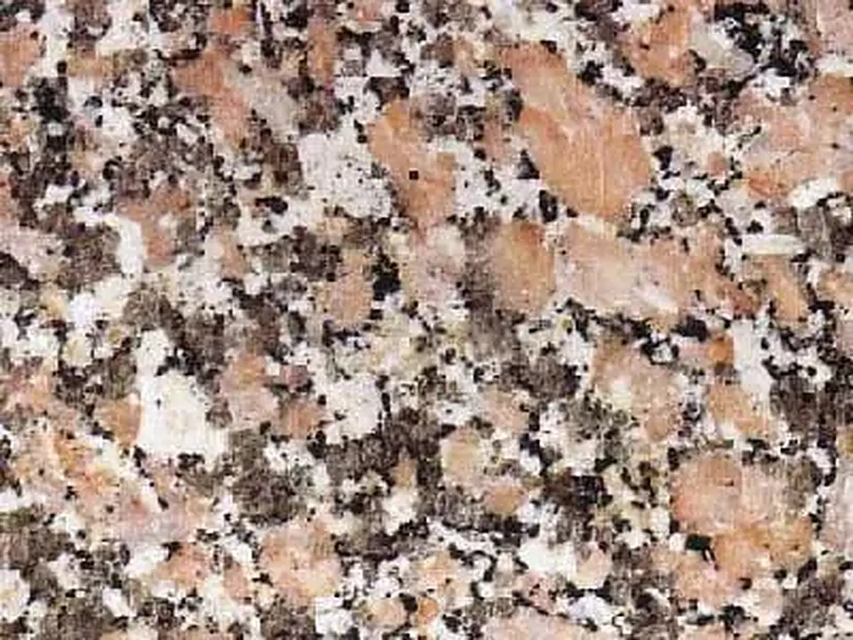 Rosa Dante granito, campione lucido – Marmi di Carrara – beige, grigio (1)