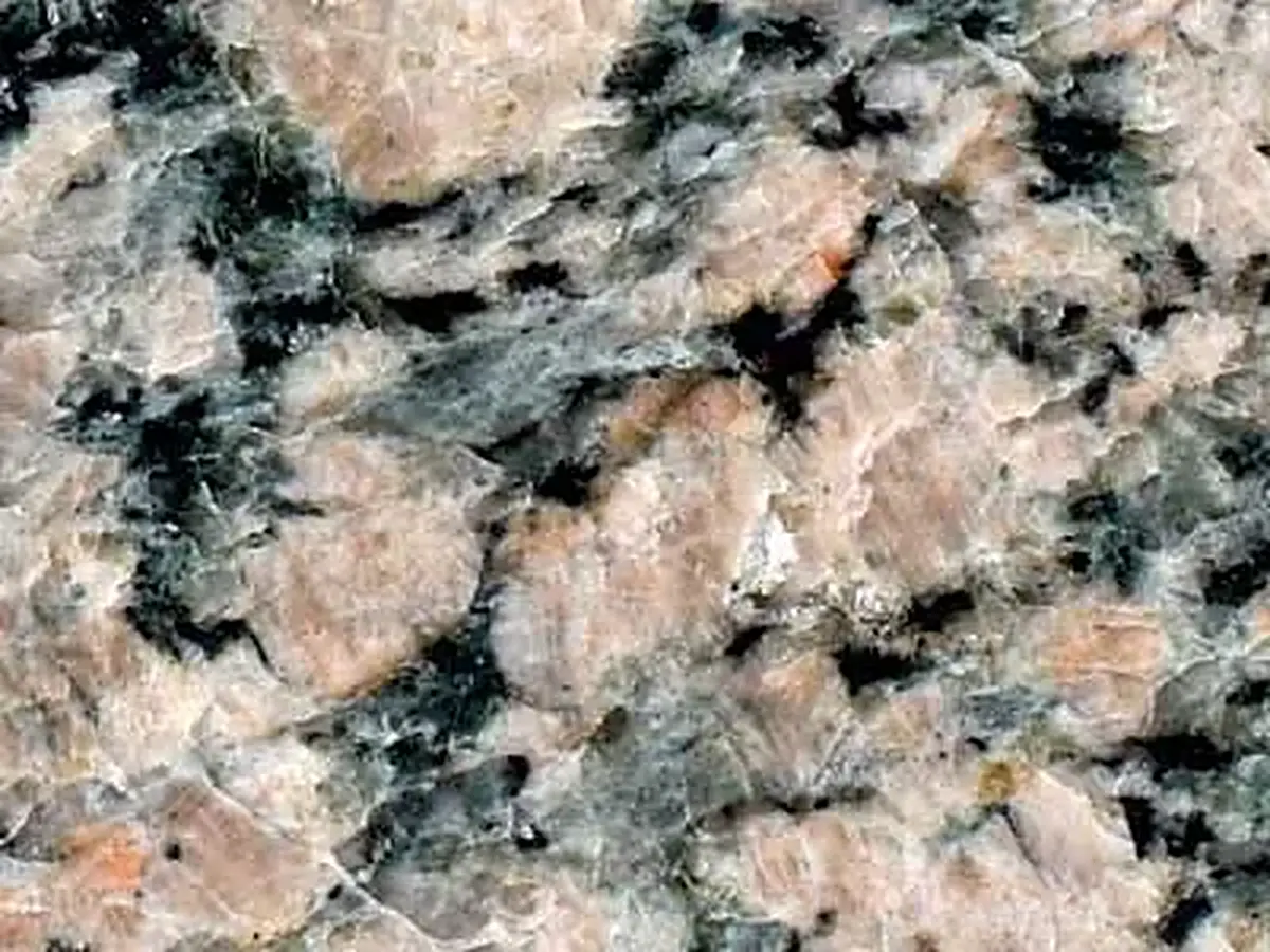 Rosa Gala granito, muestra pulida – Marmi di Carrara – gris, beige (1)