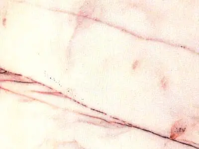 Rosa Salmon mármol