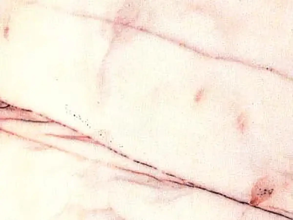 Rosa Salmon marmo, campione lucido – Marmi di Carrara – bianco, avorio (1)