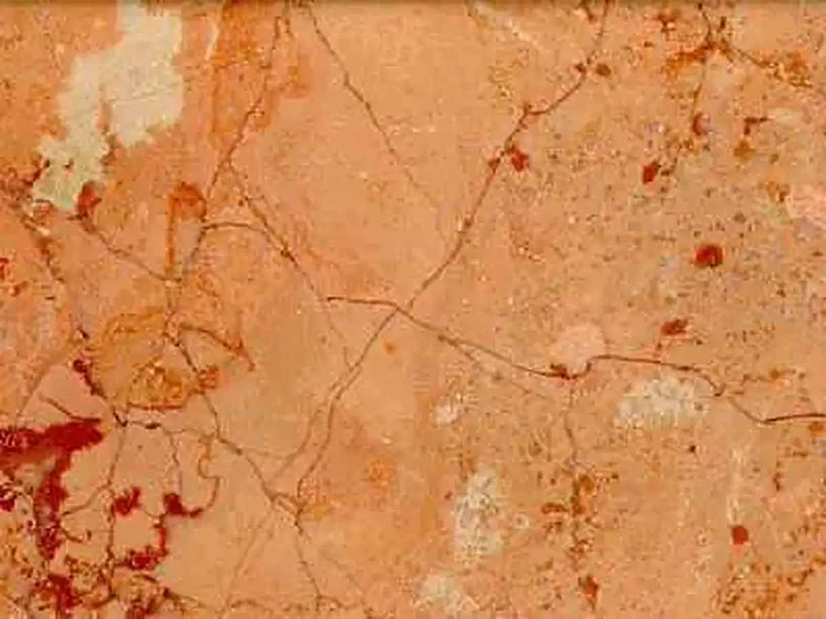 Rosa Tea caliza, muestra pulida – Marmi di Carrara – dorado (1)