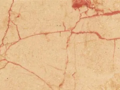 Rosalia caliza, muestra pulida – Marmi di Carrara – beige (1)