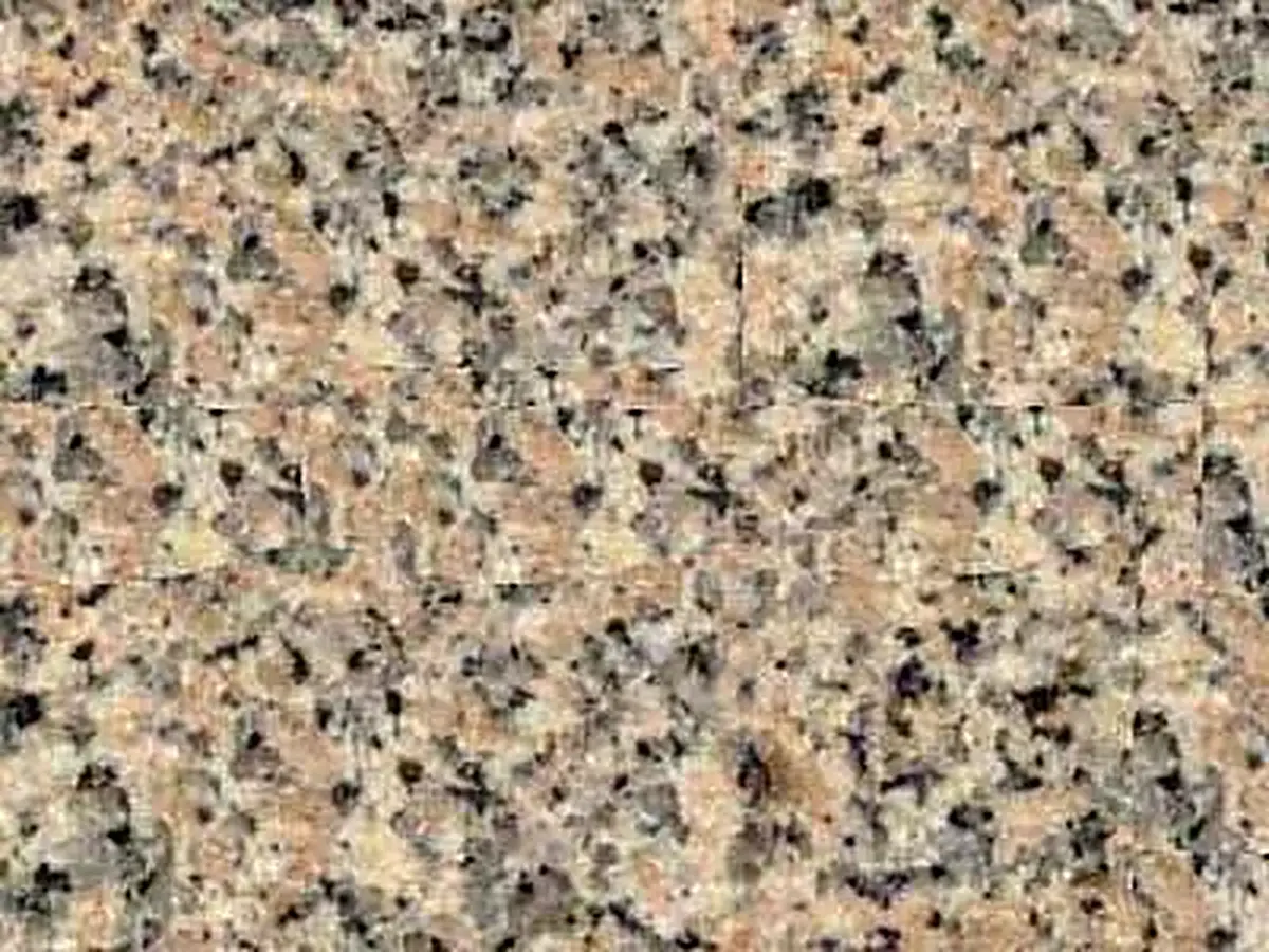 Rose Renca granite polished sample – Marmi di Carrara – grey, beige (1)