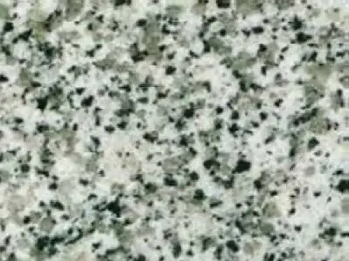 Rosselin White G 3540 гранит, полированный образец – Marmi di Carrara – светло-серый, серый (1)
