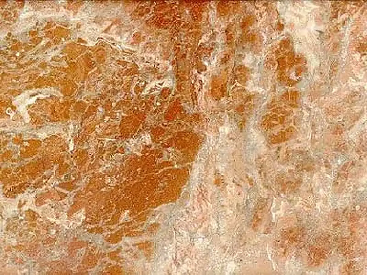 Rosso Borneo calcare, campione lucido – Marmi di Carrara – beige, oro (1)