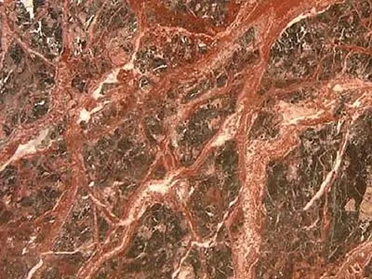 Rosso Erika caliza, muestra pulida – Marmi di Carrara – dorado, rojo óxido (1)