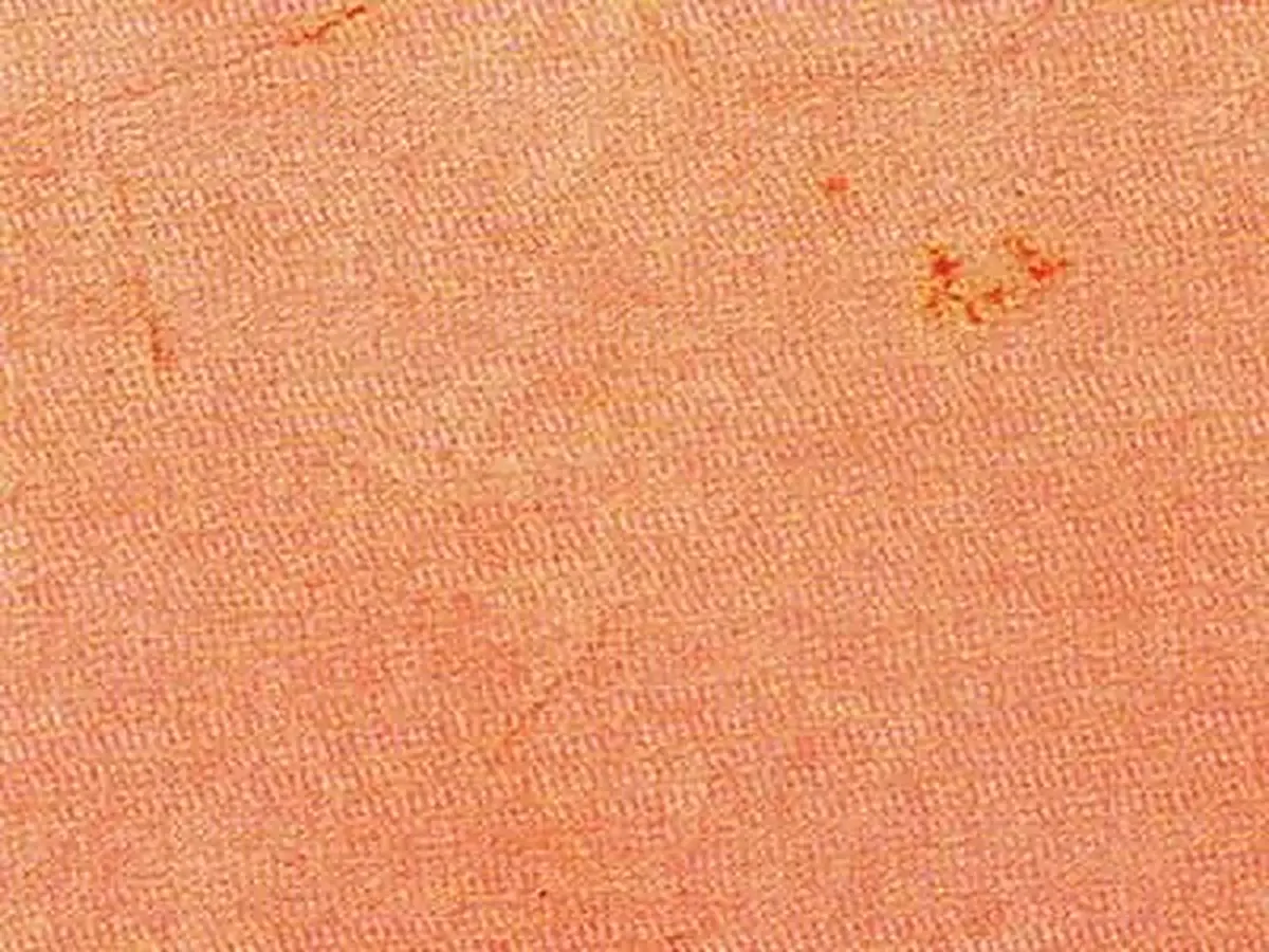 S 1805 C - B pizarra, muestra pulida – Marmi di Carrara – dorado, rosa (1)