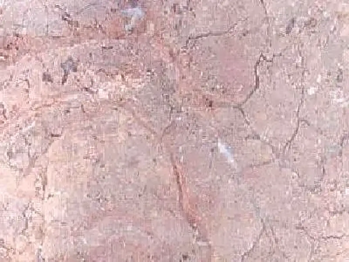 Sahara Gold calcaire, échantillon poli – Marmi di Carrara – rose, gris clair (1)