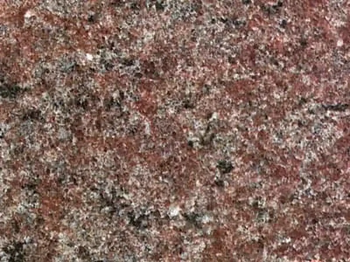 Samambaia granit, échantillon poli – Marmi di Carrara – brun, gris (1)