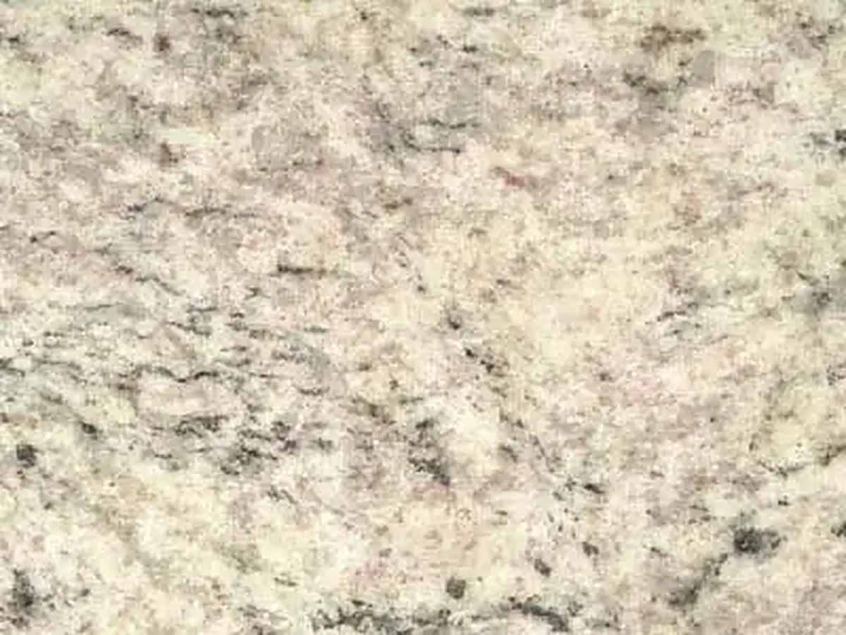 Samba White Granit, polierte Probe – Marmi di Carrara – elfenbein, hellgrau (1)