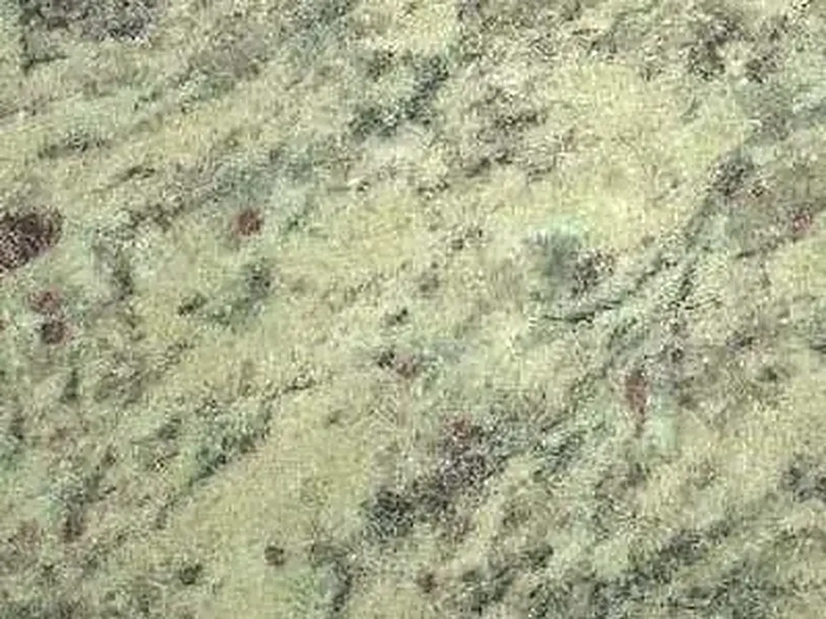 Samoa Light granito, muestra pulida – Marmi di Carrara – beige, gris (1)