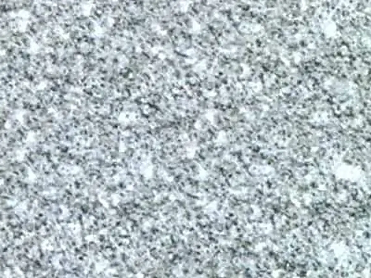San Fedelino granite polished sample – Marmi di Carrara – light grey, grey (1)