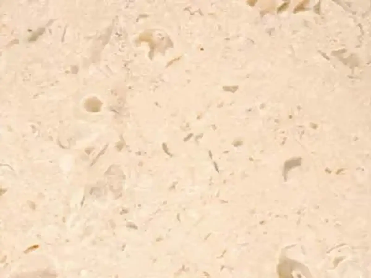 Sandy Beige limestone polished sample – Marmi di Carrara – ivory (1)