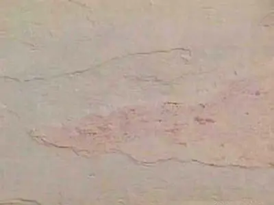 Sanjaini ardoise