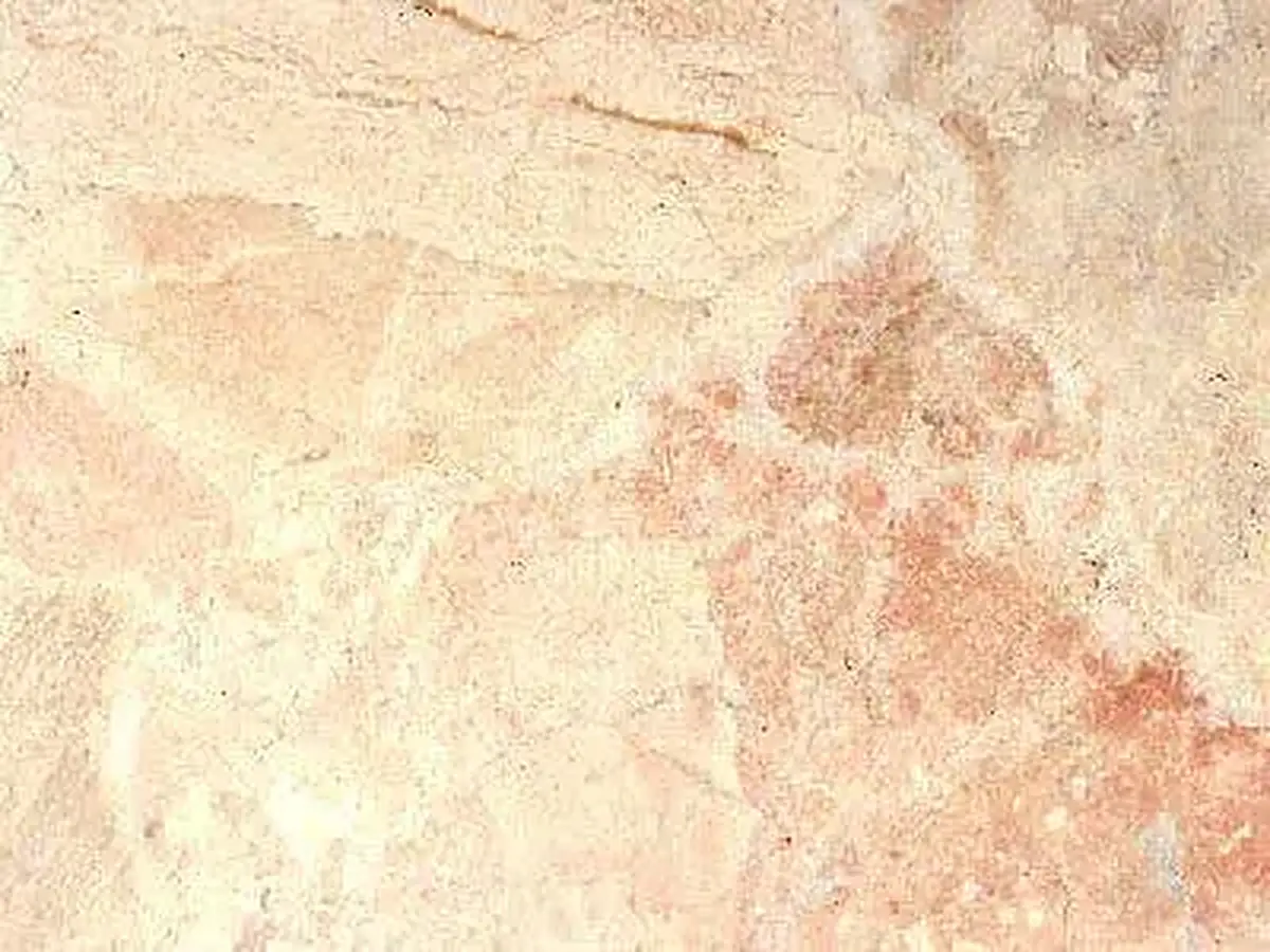 Santa Elenea Levadia Pink mármol, muestra pulida – Marmi di Carrara – marfil, beige (1)