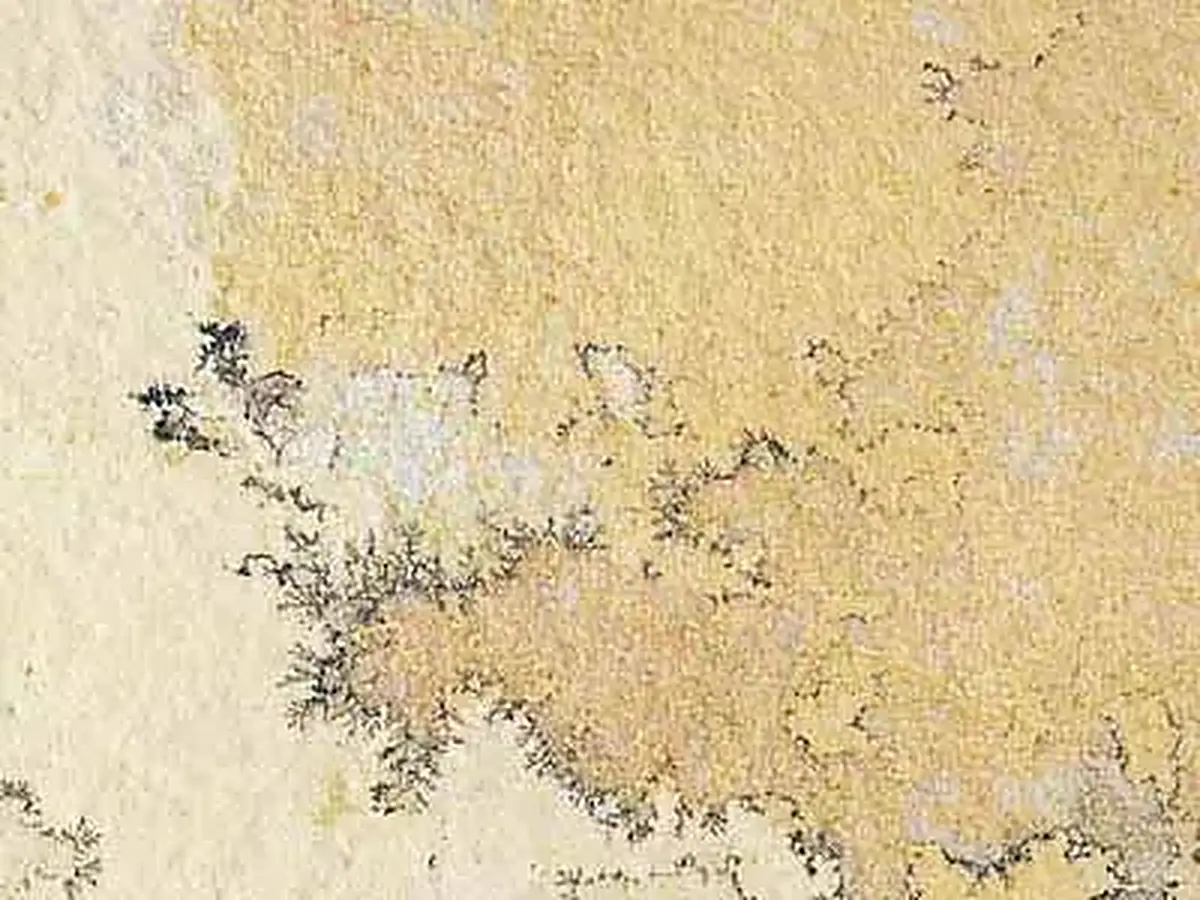 Sao Tomé quartzite polished sample – Marmi di Carrara – beige, ivory (1)