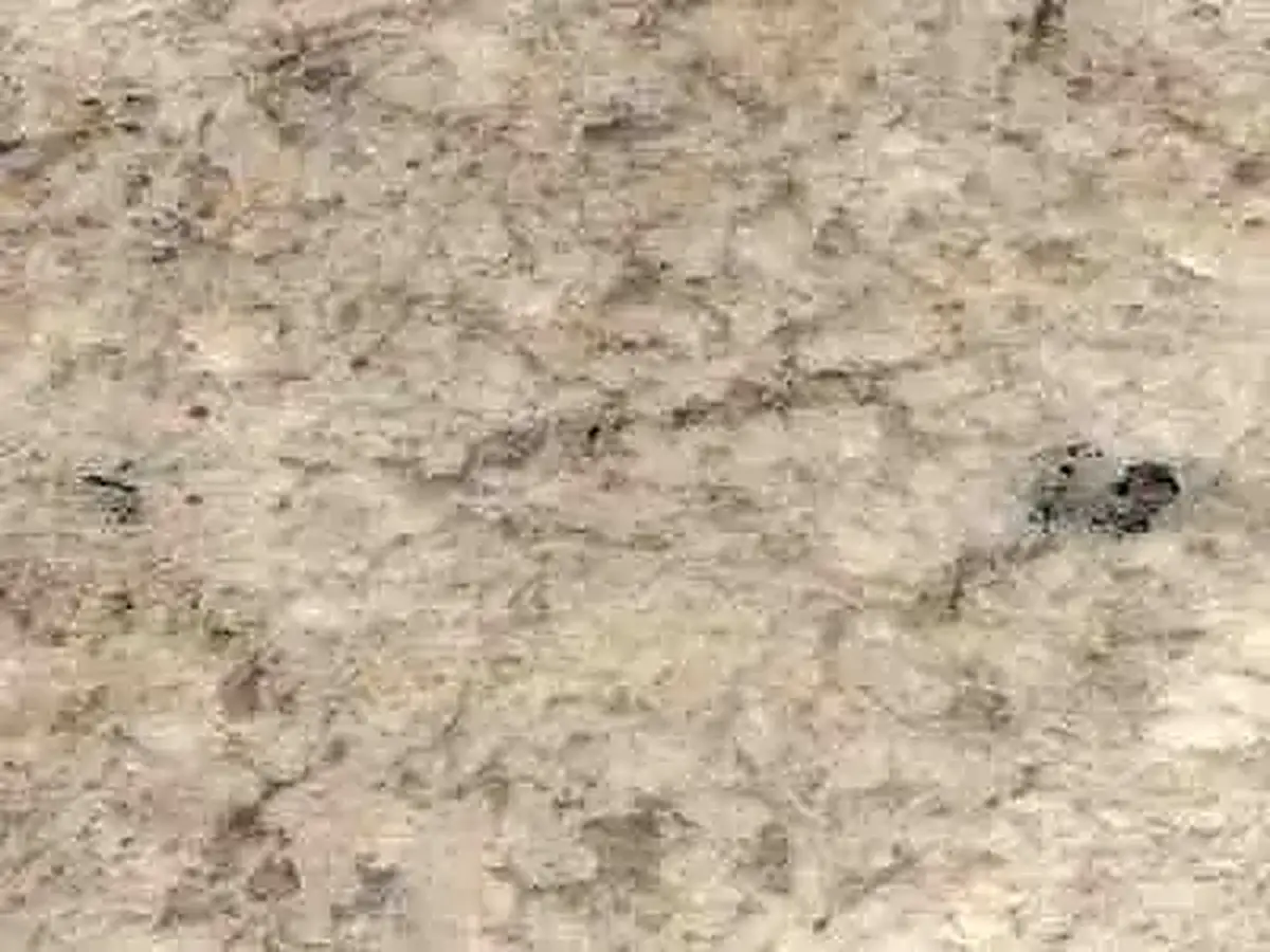 Sausalito granito, muestra pulida – Marmi di Carrara – beige, gris (1)